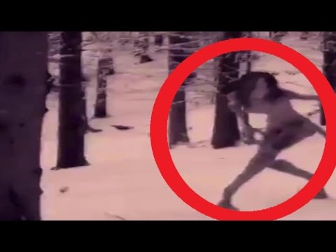 Best collection Ghosts and ghost, alien, creature, poltergeists, UFOs, gnome – Caught on Camera