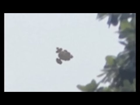 Asteroid UFO Sightings Caught On Camera | Real Signs Of Alien Life | UFO Videos 2016