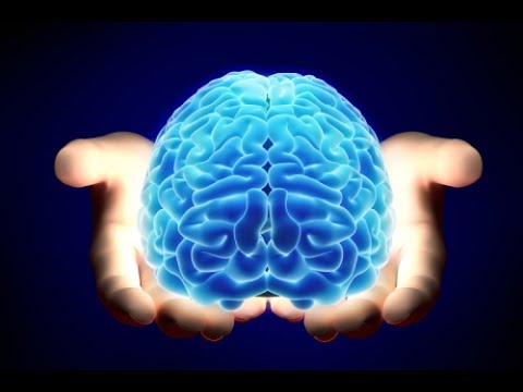 ? Les secrets du cerveau humain (fr) ? 2017 ?