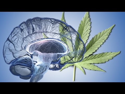 Pot Does This To Your Brain