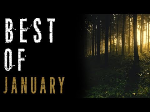 The Best of January (Ghost Stories, Humanoid Encounters, Paranormal Stories) | Mr. Davis