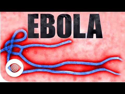Could Ebola Be A Man-Made Bioweapon?