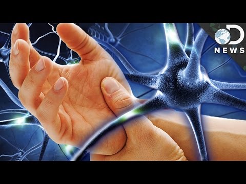 Why Can’t We Reverse Nerve Damage?