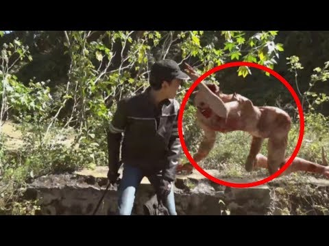 This Is The Most UNEXPLAINED Video You Will Ever See…