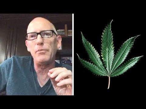 Scott Adams – Healthcare Costs, Weed, Criticizing The Press, Google Mind Control and Dancing