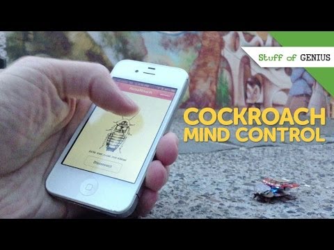 There's An App For That: Cockroach Mind Control