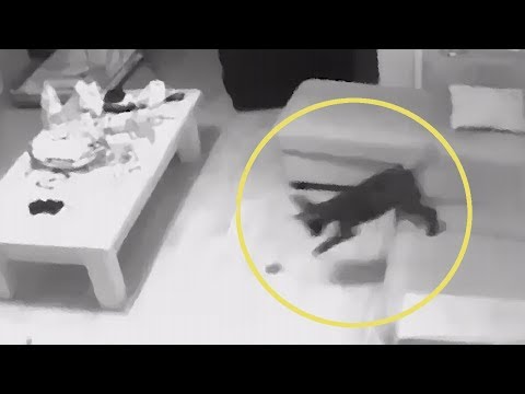 Top 10 Real Poltergeist | Paranormal Sightings | Part XLI