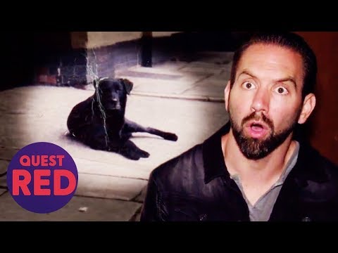 ?Nick Tries To Befriend The Ghost Of A Dog Called Bruce | Paranormal Lockdown UK