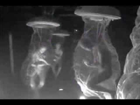 The Dulce Base Documentation of Joint Military alien underground facility