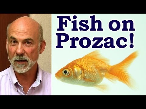 Psych Drugs in Drinking Water, Fish on Prozac | Austin Wellness Mental Health Truth Psychetruth