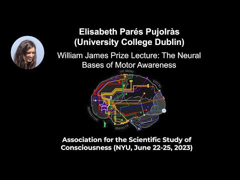 Elisabeth Parés Pujolràs: The Neural Bases of Motor Awareness | ASSC26