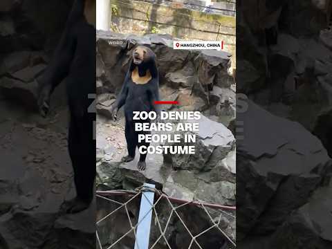 Zoo denies bears are people in costume