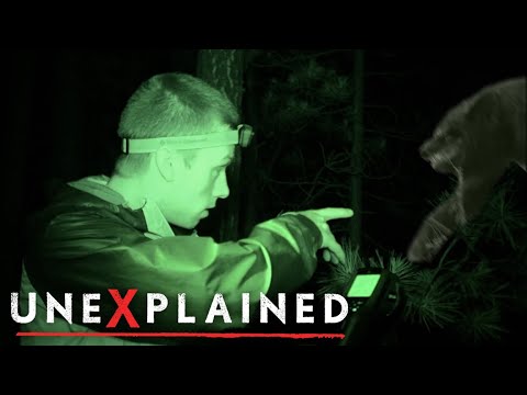 Survival Tips For Paranormal Investigators | UNEXPLAINED