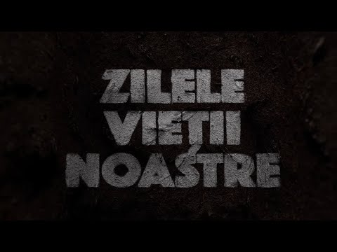 ZILELE VIETII NOASTRE (FILM)
