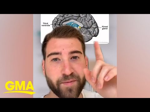Neuroscientist reveals the truth about the third eye l GMA